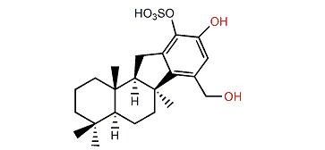 Akaol B